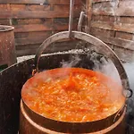 Sobri Halaszcsarda Es Panzio 3* Baja