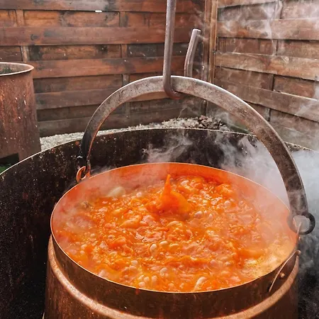 Sobri Halaszcsarda Es Panzio 3* Baja