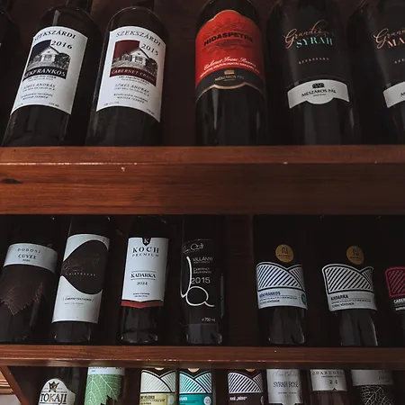 Casa de hóspedes Sobri Halászcsárda és Panzió 2*